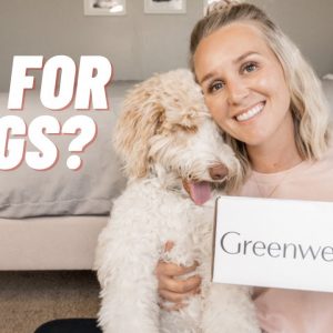 CBD for Dogs - Sharing CBD products and CBD benefits for dogs | Torey Noora