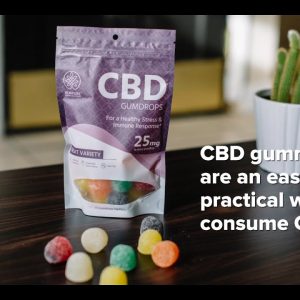 CBD Gummies Review: Everything You Need To Know