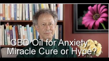 CBD Oil for Anxiety: Miracle Cure or Hype?