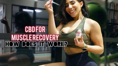 CBD FOR MUSCLE RECOVERY | Does it work?