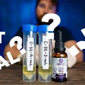 Is Medterra Pets CBD REAL? See the new LAB TESTS and CBD review.