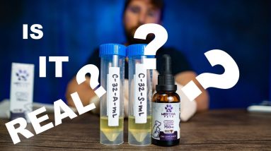 Is Medterra Pets CBD REAL? See the new LAB TESTS and CBD review.