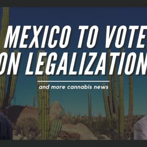 Mexican Lawmakers To Vote On Marijuana Legalization; Georgia Introducing Marijuana Legalization Bill