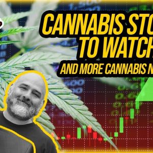 Marijuana Stocks to Watch This Week and More Cannabis Legalization News