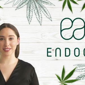 CBD oil Effects / What Does CBD Do