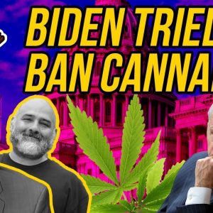 Biden Tried to Ban Marijuana Sales and the House Just Killed His Plan