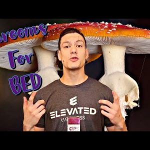 Cookies Muushroom Caps Review | Bed Head