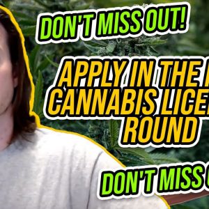 Why You Must Apply in the Next Cannabis Licensing Round | Don't Miss Out on your cannabis business
