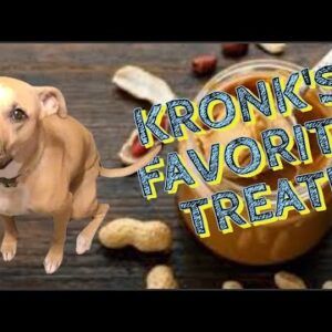 Simple CBD Peanut Butter Dog Treat Recipe ft. Kronk
