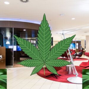 Weed lounges are coming to a city near you