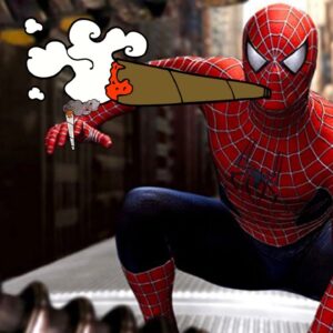 Pre Spider-Man Smoke Session