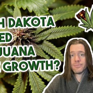 South Dakota's House of Representatives Voted to Ban Medical Marijuana Home Growth