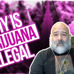 Why Is Marijuana Illegal? The Story of Cannabis Prohibition | Harry J Anslinger, Nixon & Race