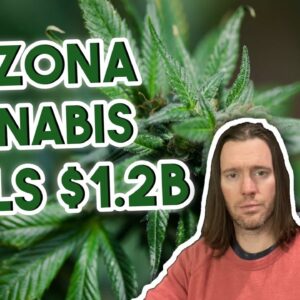 Arizona Cannabis Sells is $1 2 Billion in Just 11 Months in 2021 | Federal Legalization News