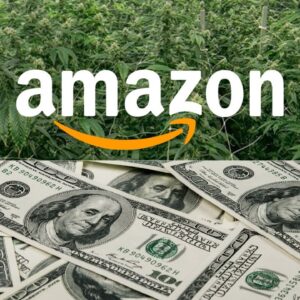 Amazon endorses GOP bill that would legalize marijuana on federal level